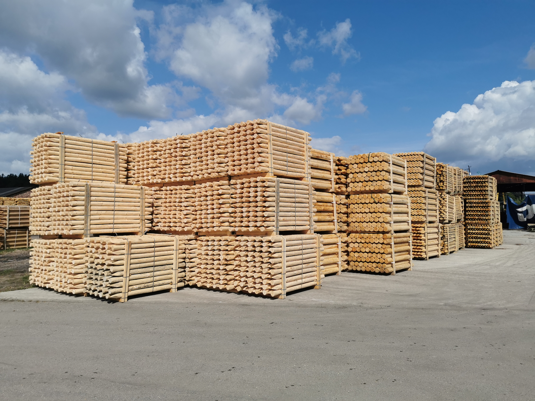 Wooden palisades